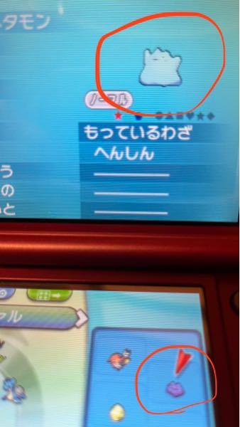 ポケモンxyで色違いのメタモンを貰いました メタモンの詳細 Yahoo 知恵袋