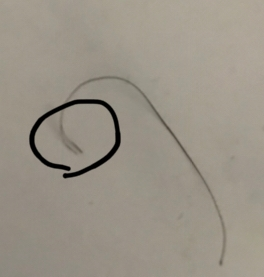 毛先が二つに割れてるのがあるのですが、これはハサミかバリカンなのですが、どちらでなったと思われますか？