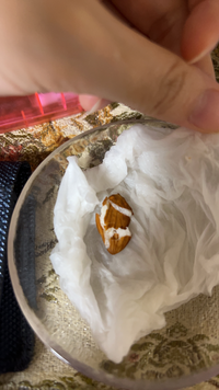 桃のでかい種ありますよね あれを植えたらおいしい桃ってなりますか Yahoo 知恵袋