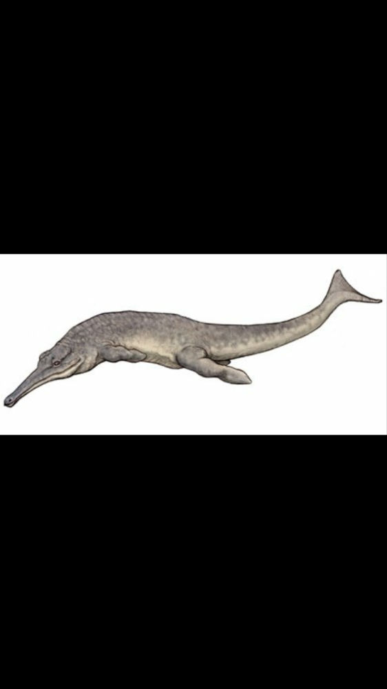 昔、魚竜以外でも魚竜みたいな生物ってどれくらいいたのでしょうか？できるだけたくさん教えて欲しいです。 例→メトリオリンクス、ゲオサウルス