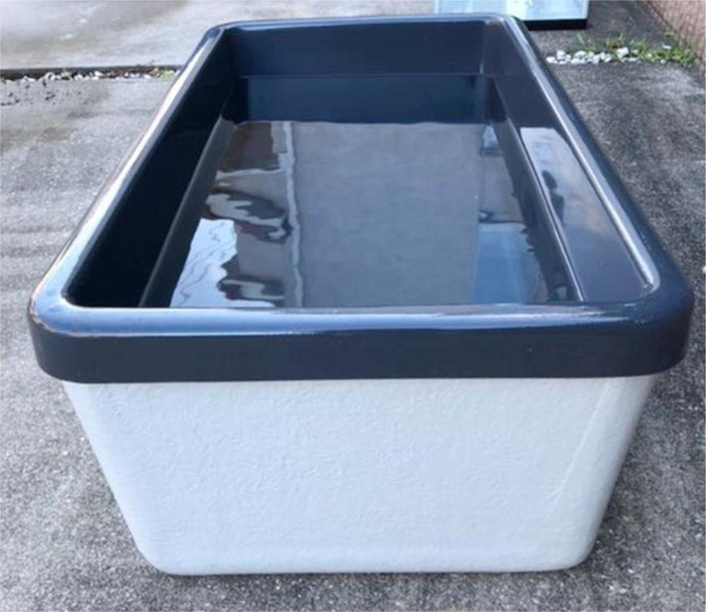 最終値下げ！！FRP水槽