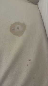 少し汚い話なのですが ソファで寝ていたら月経の血がついてしまい 取 Yahoo 知恵袋