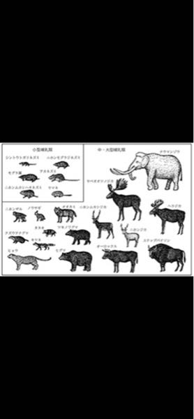 大昔の日本は120年前に絶滅したオオカミの他にヒョウやトラ、オオヤマネコなどの肉食獣、今は絶滅したナウマンゾウ、ヤベオオツノジカ、ニホンムカシジカ、ステップバイソン、オーロックス、 日本のみで全...