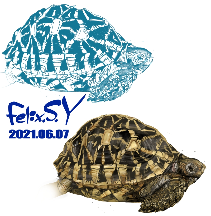 おはようごじゃいマッシュマロ アクアリウムカテのみなシャン ボクは小学生で Yahoo 知恵袋