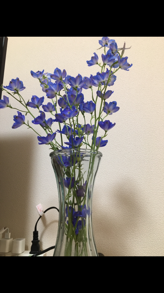 この花の名前を教えて下さい！ 先日花屋で購入した、とても気に入っているお花なのですが名前が分かりません涙
