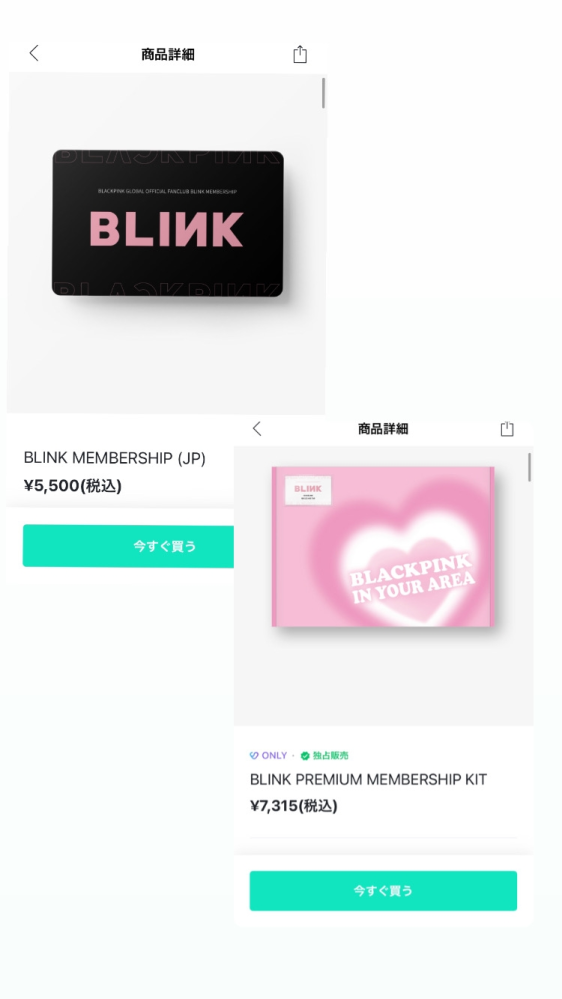 BLACKPINK 韓国 FC BLINK 1期入会 特典 BLACKPINK 韓国 FC BLINK 1期入会 特典