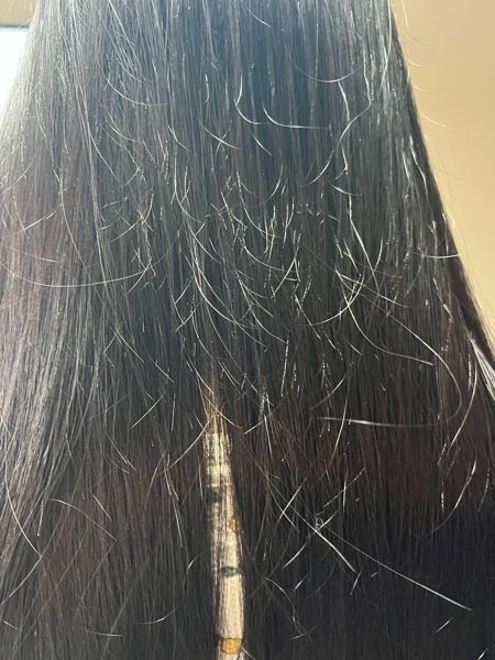 髪の毛 髪の毛についてです。写真を見て頂いたらわかると思うのですがぽわぽわ