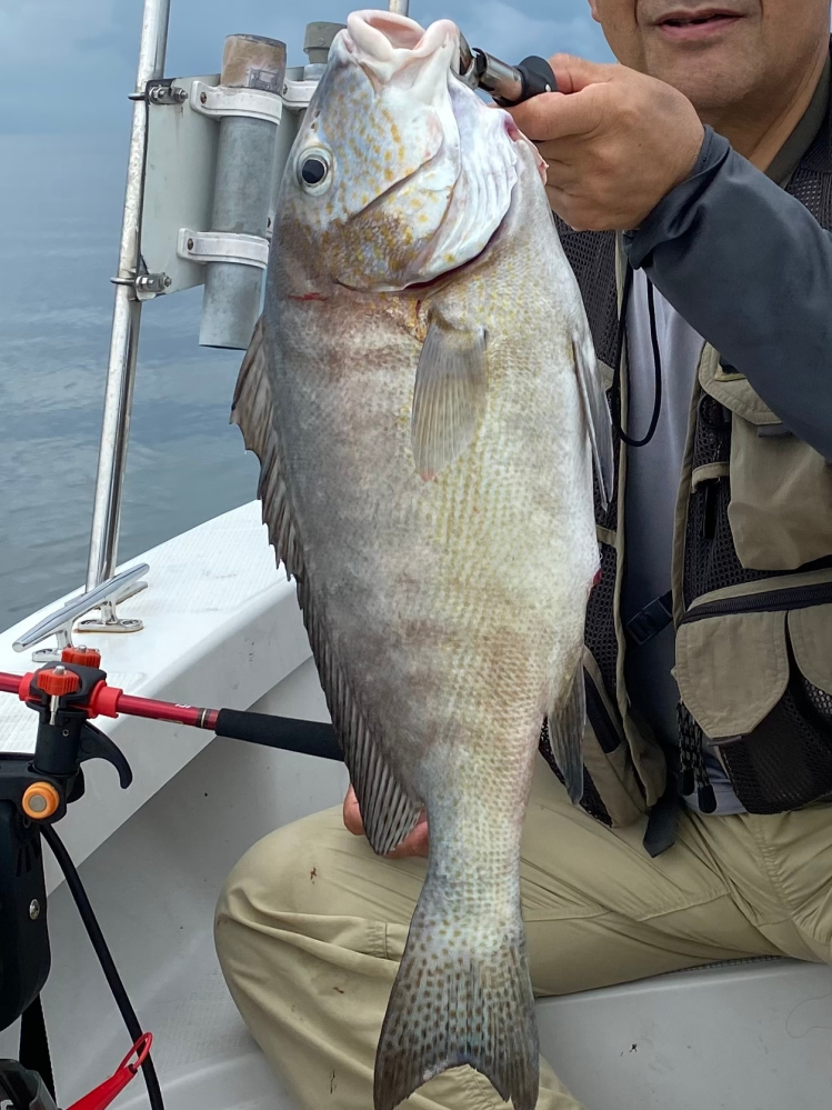 この魚の名前を教えて下さい。熊本県の八代海沖、獅子島と伊唐島の間で釣れました。宜しくお願いします、