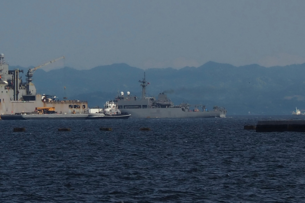 いつ撮ったかは覚えてないのですが、八景島シーパラダイスから横須賀方面を撮った写真です。この写真(二つ)に写ってる艦の種類ともし分かれば艦名もお願いします。