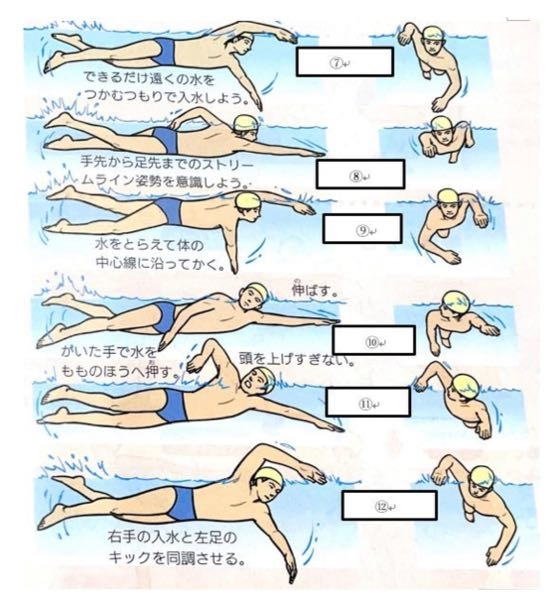 水泳の基本用語について教えてください。 1 水の抵抗が最も少なくなるよう、体全体を水平かつ一直線に伸ばした姿勢のこと 2 腕のかきに合わせて、体中心線を軸に上半身を回転させてひねるような動作のこと 3 水中のストローク動作において、指先や手首に対して、肘を高く保つこと。 4 水中で鼻から息を吐く事 5 顔を水中と水上に出し入れして呼吸しながら上下する動作 6 両足をしっかり壁にうて、顎を引いて壁を蹴り、のびること。 7図 8〃 9〃 10〃 11〃 12〃