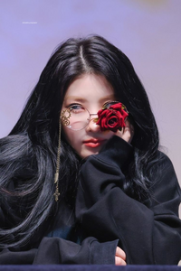 プレディスがプリスティンをあまり活動させないで解散させてしまったのはなぜで Yahoo 知恵袋