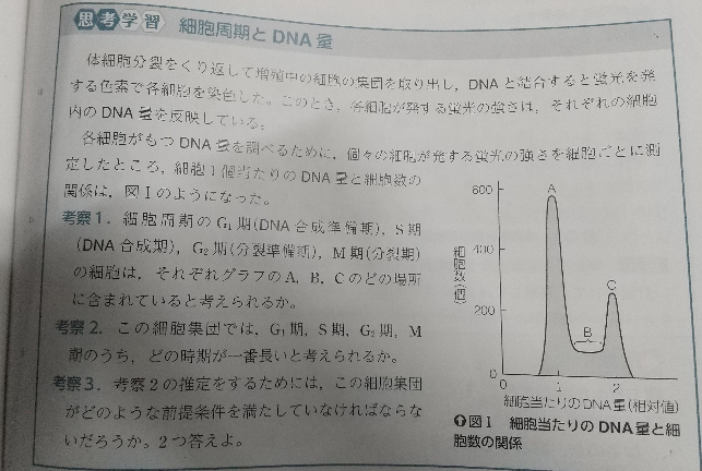 綺麗な薔薇には棘がある を英語でなんて言いますか 教えてくだ Yahoo 知恵袋
