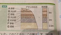 中学1年理科地層の問題です この柱状図から まず河口から離れた沖合 Yahoo 知恵袋