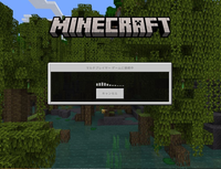 Namemcのスキンや名前の履歴を一度全部消したいのですかどうや Yahoo 知恵袋
