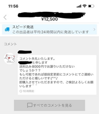 プロフィールと名前に値下げ不可と書いているのに、値下げ交渉してき 