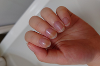 爪の長い女性って料理するんですか 偏見混じりです 料理するにしても 爪を伸ばし Yahoo 知恵袋