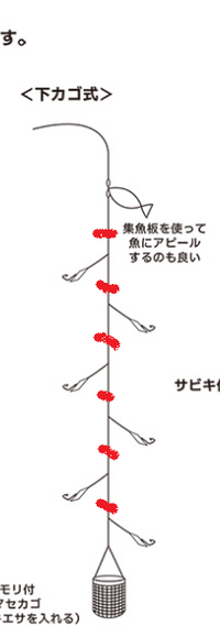 集魚板の付け方について ママカリを釣りたくて 集魚板をたくさん作り Yahoo 知恵袋