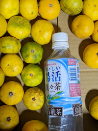 メルカリ購入者です。専用出品を購入してしまい、出品者から専用なので 