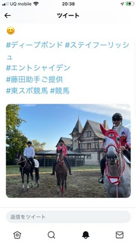 フランスの凱旋門賞にでる馬 この小屋 かわいいんですが古屋みたいな Yahoo 知恵袋