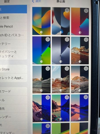 Ipadmini6の壁紙について設定から 壁紙を選び 画像の選択画 Yahoo 知恵袋