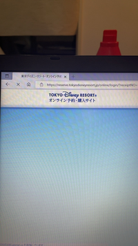 ディズニーチケットをpcでやってるんですがチケット枚数までいき 最後の確認ボ Yahoo 知恵袋