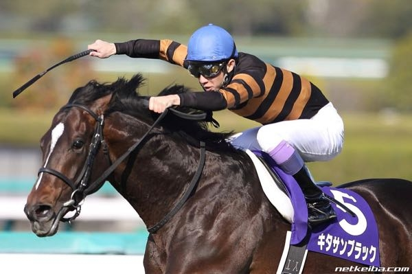 トウカイテイオー 大阪杯単勝馬券 オッズ他-