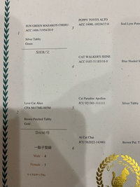 猫の血統書の見方について うちのミヌエットの血統書なんですが両親はなんですか Yahoo 知恵袋