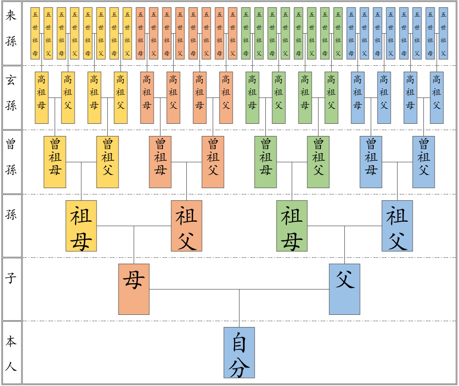 この家系図は見やすい 子の部分親ではないでしょうか 見やすいです Yahoo 知恵袋