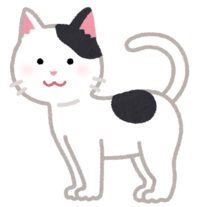 このイラストの猫を見てどう思いますか とってもかわいい絵だと Yahoo 知恵袋