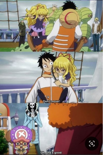 アニメonepieceについてこれは何話で見れますか 編辺りでもいいので Yahoo 知恵袋