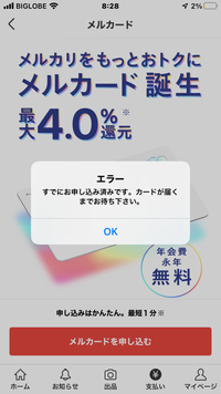 メルカード、日曜日に定額審査を通ったのですが、それ以降、連絡がなく