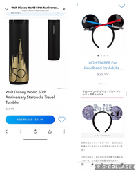 フロリダのディズニーワールドに詳しい方に質問です 添付している画像の商品 3 Yahoo 知恵袋