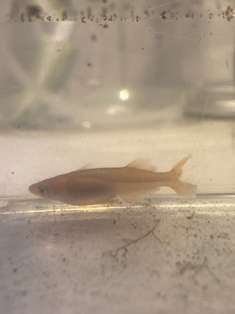 アクアリウムって一ヶ月電気代いくらほどでしょうか まず 水槽などの初期費用は Yahoo 知恵袋