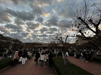 ディズニーシーに詳しい人教えてください 休日の朝7 00くらいにシ Yahoo 知恵袋