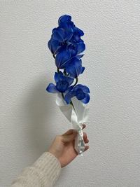 この花の名前をおしえてください 花屋さんには ブルーベリー という名前で売ら Yahoo 知恵袋