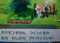 ポケモンsvの対戦環境で活躍しているポケモンは ヘイラッシャ ドド Yahoo 知恵袋