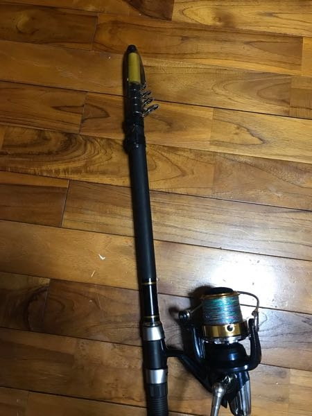 新品タマンモンスターかボトムキングのリールセット 新品タマンモンスターかボトムキングのリールセット