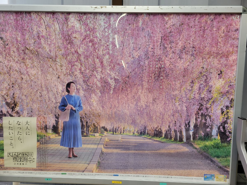 吉永小百合さんのJRの広告ポスターですが、これはどこでしょうか？と