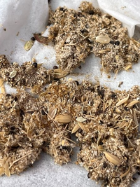 玄米 30キロ 虫がわいてます。