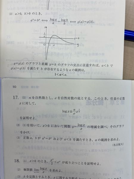 プラチカ数3の大問17番（3）の解説お願いします。 - 両辺底eのlogをと