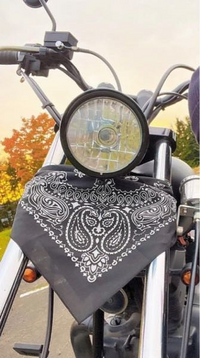 バイクでヘッドライトの下にバンダナを付けている人を見るのです