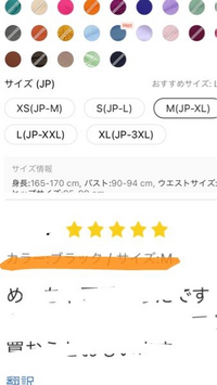 sheinのサイズについてなんですがJP-M(S)というのは日本サイズ