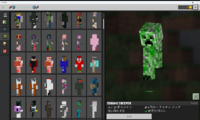 minecraftで4Dスキンというものをyoutubeで見つけてダウンロードしたのですが上手く反映されていません。現在のバージョンでは対応していないのですか？それとも導入の仕方が悪いんですか？ 