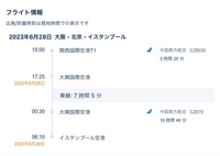 添付の便でイスタンブールへ行きます。

途中、中国で乗り継ぎがありますが、予約時スルーバゲージ不可とでました。

これは中国に一度入国するということですか？ 入国の際に必要なもの(ビザなど)はありますか？

調べてもよくわからないので詳しい方よろしくお願いします。