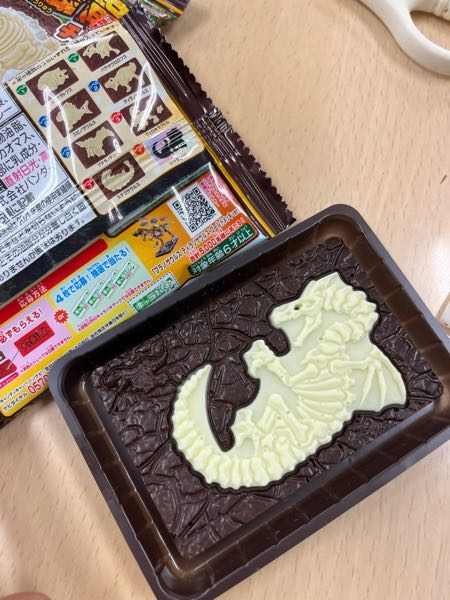 発掘恐竜シークレット 恐竜の化石発掘するチョコでシークレットが出ました。これは何サウルス