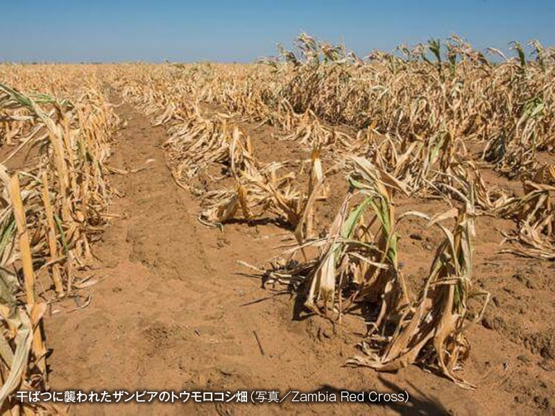 異常気象は続いており、さらに悪化するでしょう!何が来るの？
