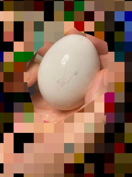 微妙にヒビの入った卵。割れてるっていうか僅かにヒビの入った卵は食べ