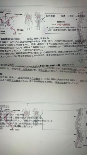 有識者の方、お助けください。Wordで画像を挿入したら他のページにも画像が挿入されます。他のページにコピーさせたいわけではないのでなおしたいです。ちなみにMicrosoftです