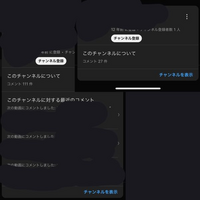 YouTubeのコメント欄について質問です。画像のように、「この