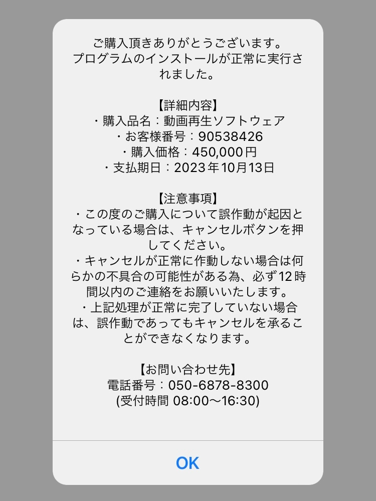 しょうご　他のお客様のご購入はキャンセルさせていただきます 専用出品 他の方は購入されないようにして下さい。 【公式通販】